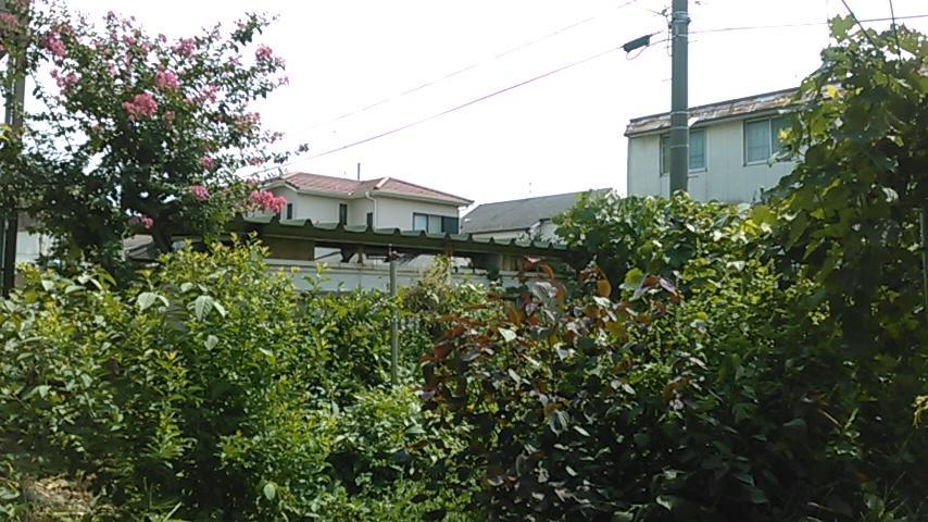 "Cherry House" Is Direct To Narita,Haneda Ap, Disney, Asakusa, Skytree Tower, Tokyo Matsudo Eksteriør billede